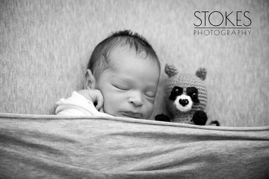Adorable Newborn Boy Session – Boise Photographer